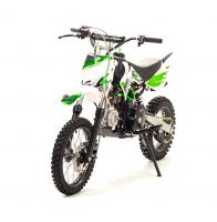 Питбайк MotoLand APEX 10