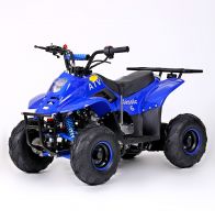 Avantis Classic 6 110 сс Квадроцикл бензиновый