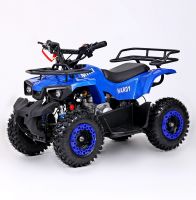 Motoland 2T электростартер Квадроцикл бензиновый