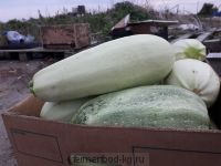 Кабачки/большие/1кг