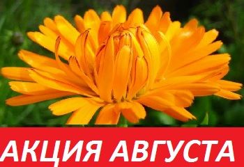 АКЦИЯ АВГУСТА