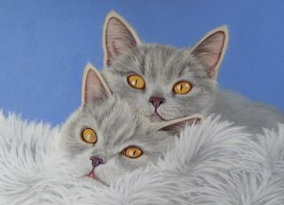Почтовая открытка Влюбленные котики