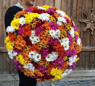 Букет из 51 разноцветной хризантемы с оформлением в крафт бумагу
