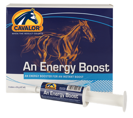 Cavalor An Energy Boost 60 мл
