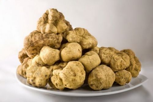 Donbalan (yerli trufel) 10gr