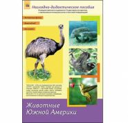 Дидактическое пособие, формат А4 "Животные Южной Америки" (арт. ПД-1762)
