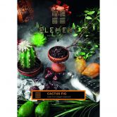 Element Земля 200 гр - Cactus Fig (Кактусовый Финик)