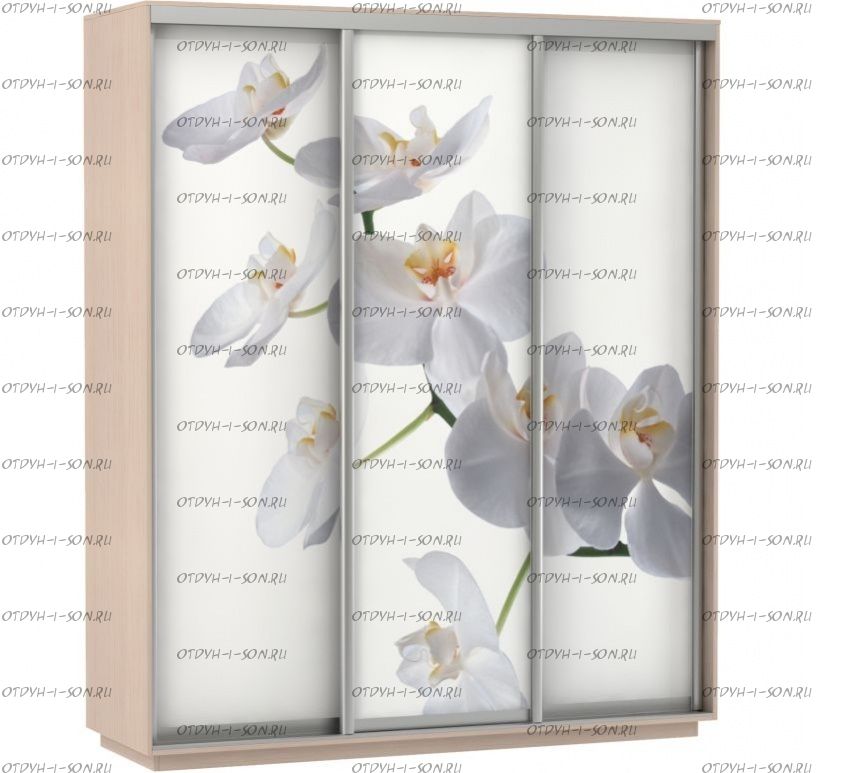 Шкаф-купе Экспресс Фото трио, цветы белые