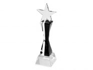 Награда «Звезда» (арт. 507206)