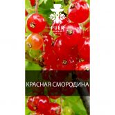 Смесь Puer 100 гр - Monastic Berry (Красная Смородина)