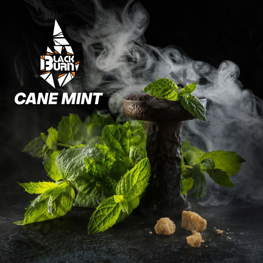 Black Burn 25 гр - Cane Mint (Тростниковая Мята)