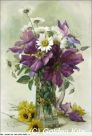 2091. Large Purple Clematis and White Daisies