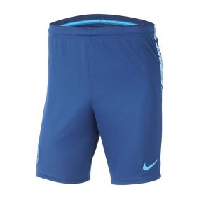 ШОРТЫ NIKE FCB DRY SQD SHORT K (SP19) 894346-423