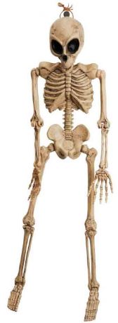 Скелет Пришельца (106 см)