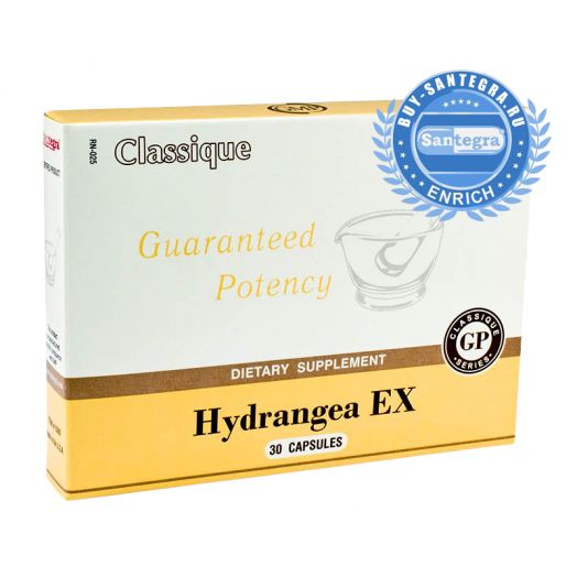 Hydrangea EX (Хайдрэнджи Экс)