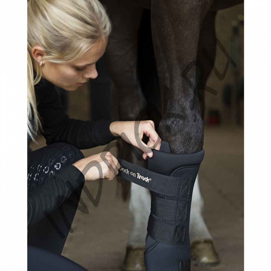 Денниковые ногавки с ватниками Back on Track Royal черные