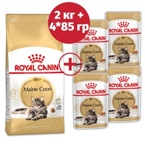 Сухой корм Royal Canin Maine Coon Adult для кошек породы Мэйн Кун 2 кг + 4 пауча в подарок