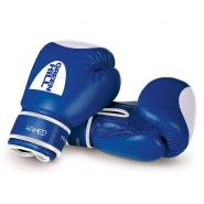 Перчатки боксерские Green Hill Hamed BGH-2036 синие