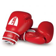 Перчатки боксерские детские Green Hill Hamed 6oz BGHC-2022 красные