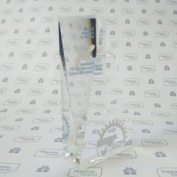 награды из стекла с логотипом
