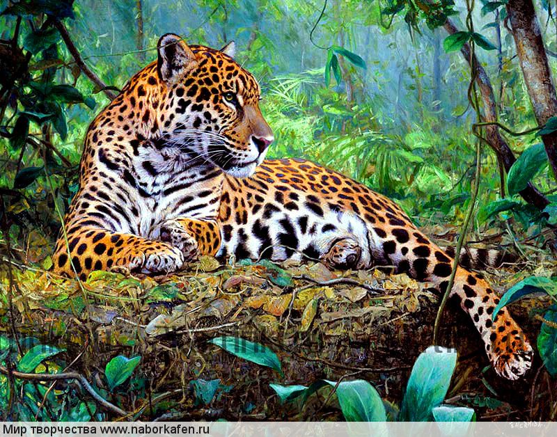 Алмазная вышивка «Молодой леопард в джунглях»