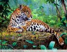 Алмазная вышивка «Молодой леопард в джунглях»