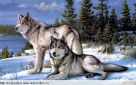 Алмазная вышивка «Пушистые волки на фоне гор»