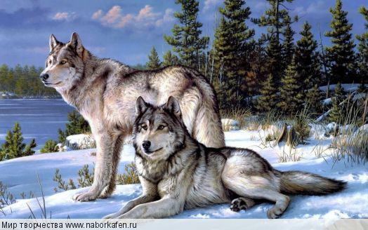 Алмазная вышивка «Пушистые волки на фоне гор»
