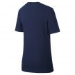 ФУТБОЛКА NIKE PSG TEE CORE MATCH (SU19) AR0283-410