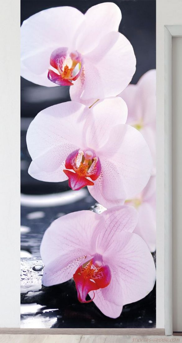 Фотообои на стену - SPA Орхидеи