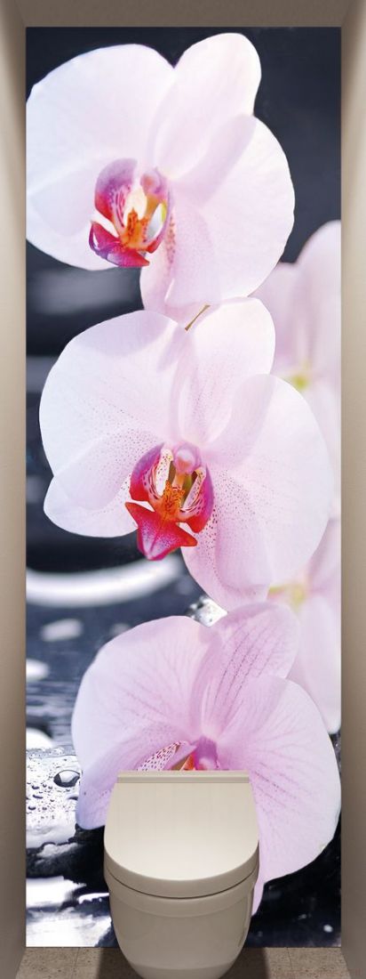 Моющиеся фотообои - SPA Орхидеи