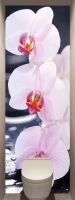 Фотообои в туалет - SPA Орхидеи магазин Интерьерные наклейки