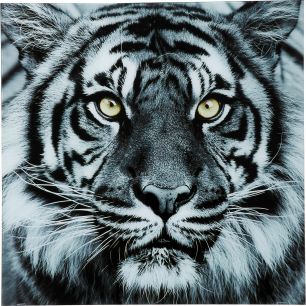 Картина Face Tiger, коллекция Лицо Тигра