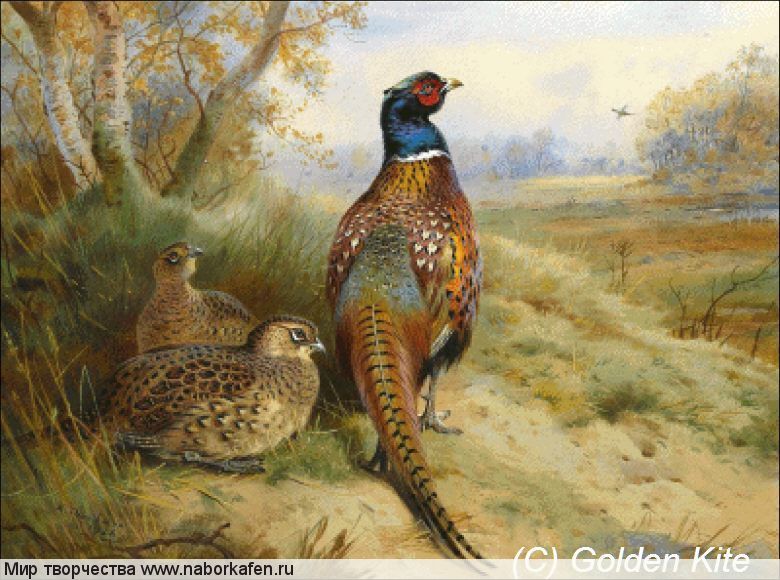 2547 Pheasants at the Edge of a Wood