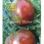 tomat-tomat-blehk-dzhon-black-john-kollekcionnyj-myazinoj