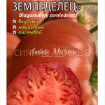 tomat-tomat-blagorodnyj-zemledelec-kollekcionnyj-myazinoj