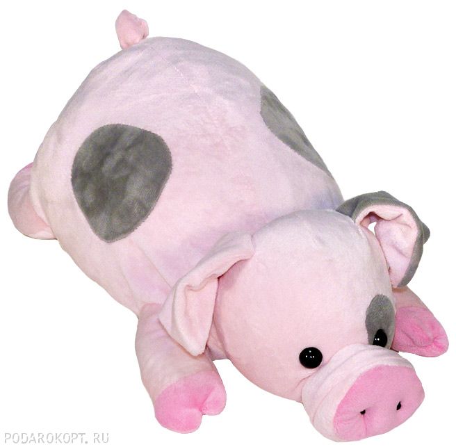 Свинка лежачая, 500 гр.