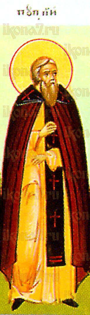 Икона Пуплий Египетский преподобный