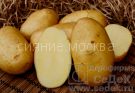kartofel-kolette