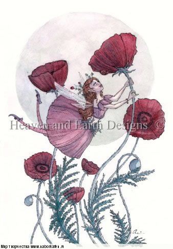HAEANR 103 Red Poppy and The Lady Bug