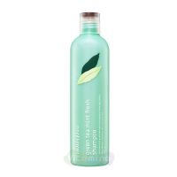 Innisfree Безсиликоновый шампунь с экстрактом мяты для глубокой очистки волос и кожи головы Green Tea Mint Fresh Shampoo, 300 мл
