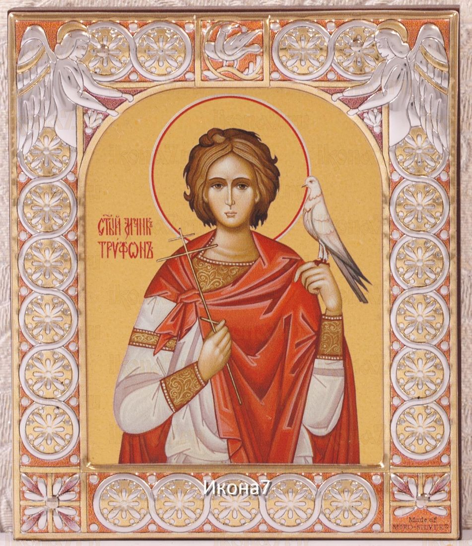 Икона Мученик Трифон (9х10,5см)
