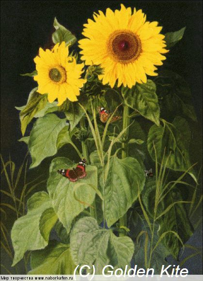 1246 Sunflowers