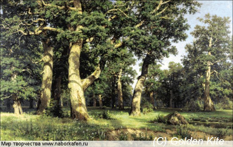 1303 Oak Wood (small)