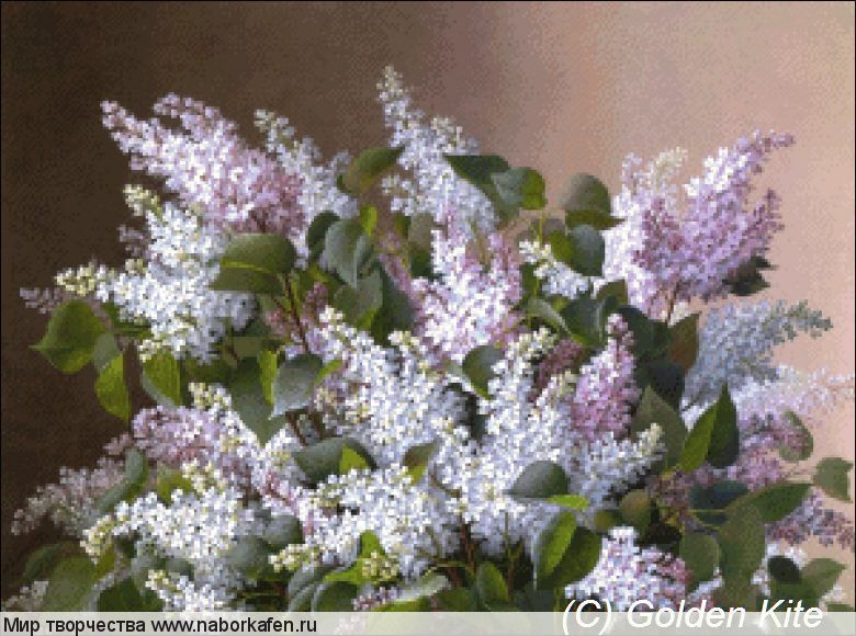 1526 Spray of Lilacs