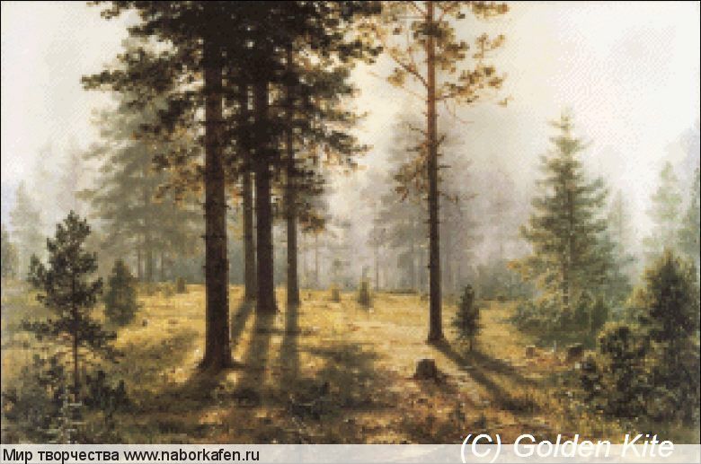 1572 Fog in the Woods (small)