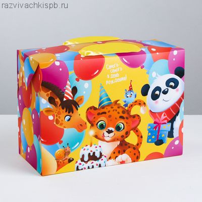 Пакет—коробка «С Днём Рождения!»