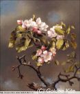 1719 Branch of Apple Blossoms