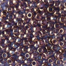 Бисер чешский 58142 прозрачный фиолетовый с бронзовым напылением блестящий Preciosa 1 сорт