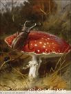 2176 Stag Beetle and a Toadstool